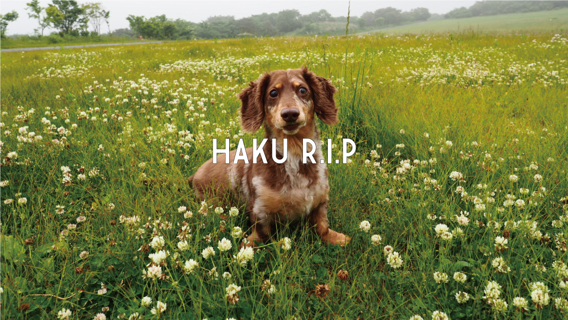 HAKU R.I.P