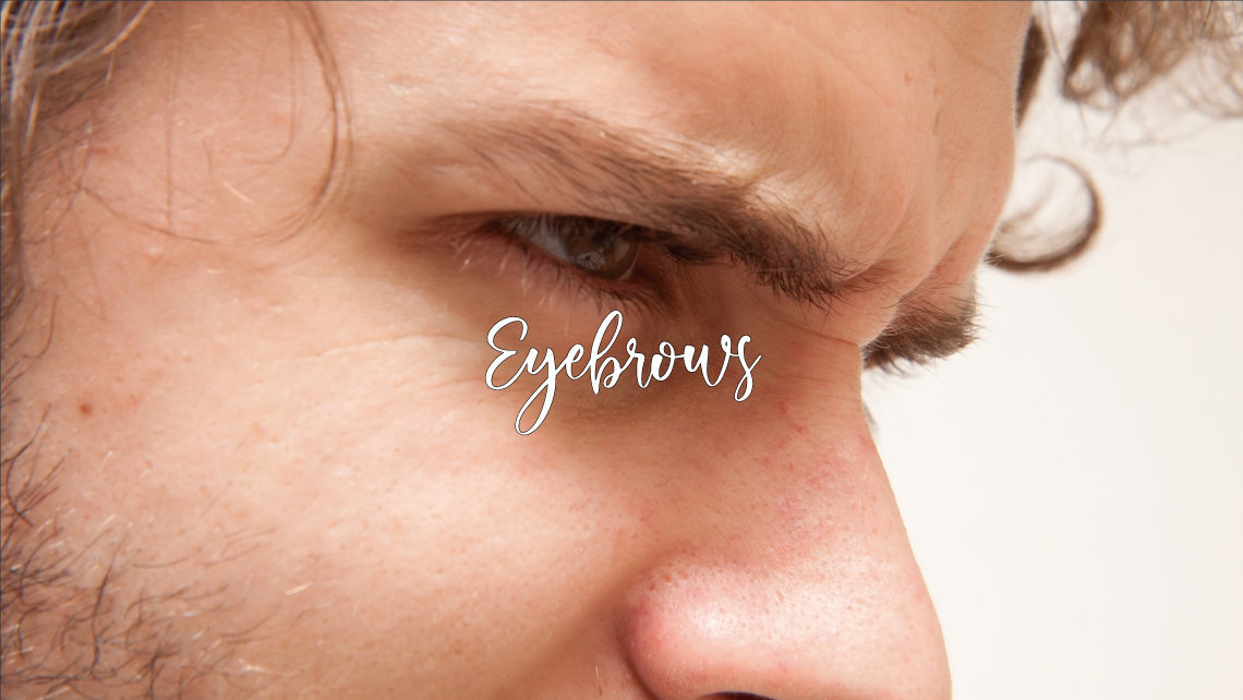 Eyeblows
