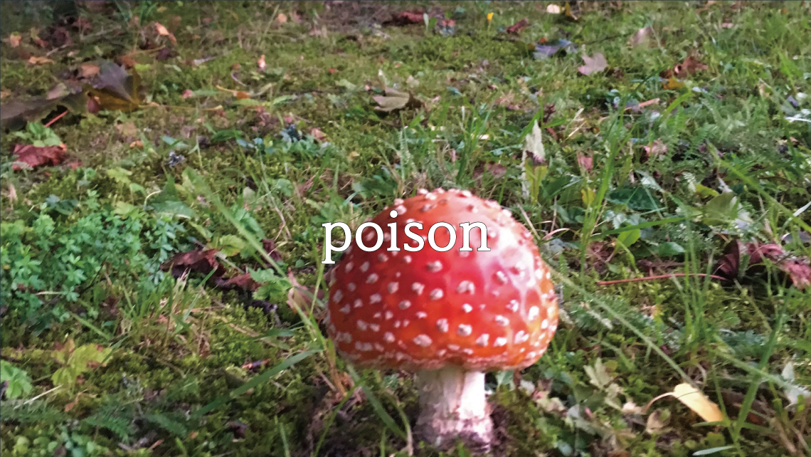 Poison
