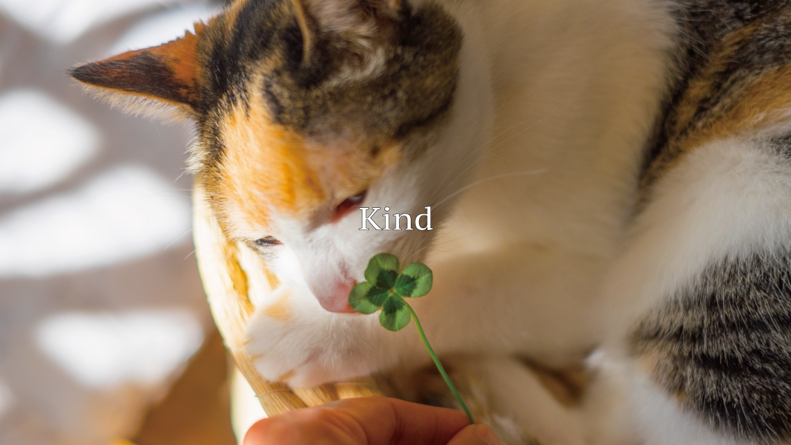 Kind