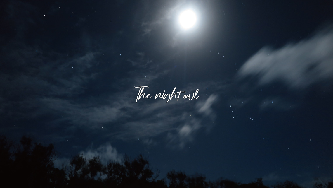 The night owl