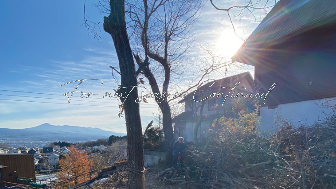 For next season Continued