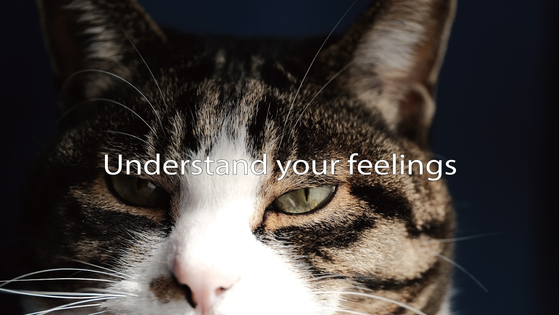 Understand your feelings