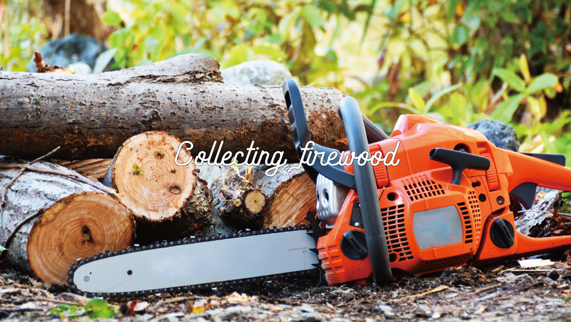  Collecting firewood