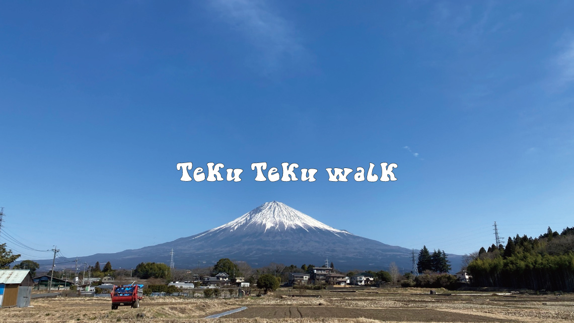 Teku Teku walk