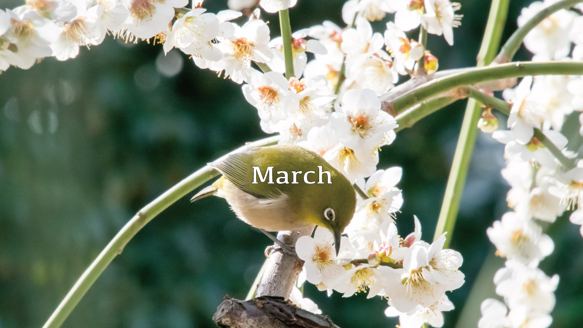 March