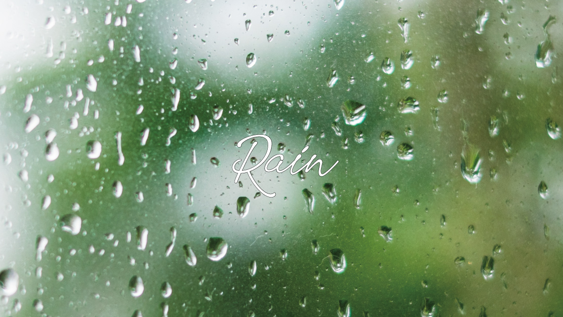 Rain