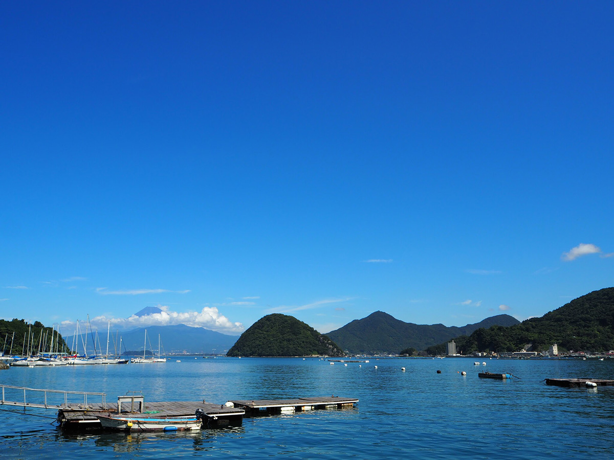 伊豆から見た富士山
