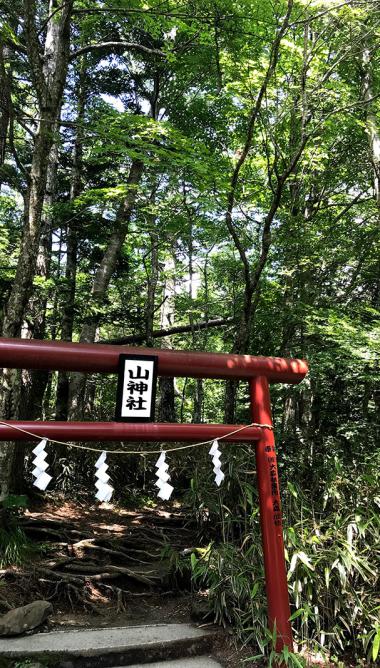 北口本宮冨士浅間神社　山神社